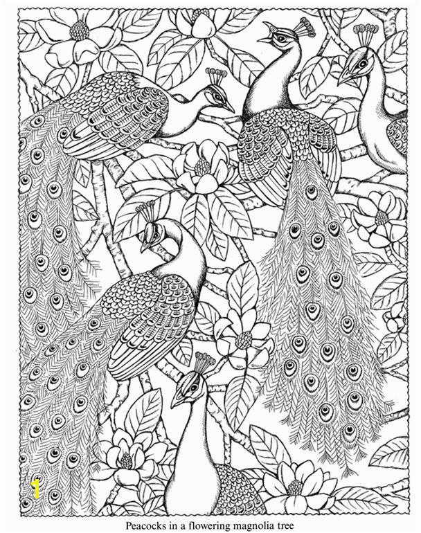 Nature Scapes coloring book sample Dover