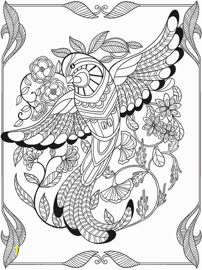 Wel e to Dover Publications free coloring book sample page Birds of Paradise 3