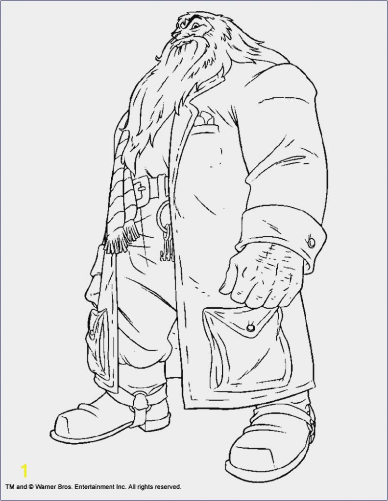 Draco Malfoy Coloring Pages Verschiedene Bilder Färben