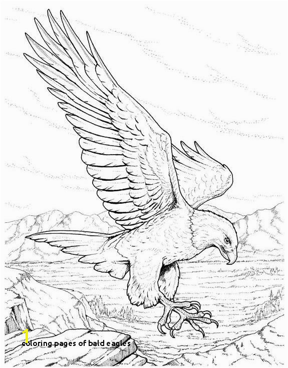 Coloring Pages Bald Eagles Wild Eagle Sketches