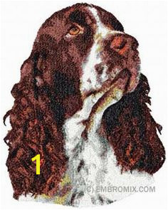 English Springer Spaniel Sprocker Spaniel English Springer Spaniel Dog Paintings Dog Portraits