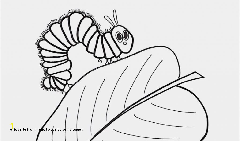 Eric Carle From Head to toe Coloring Pages Coloring Pages Template Part 299