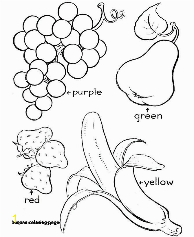 22 Euglena Coloring Page