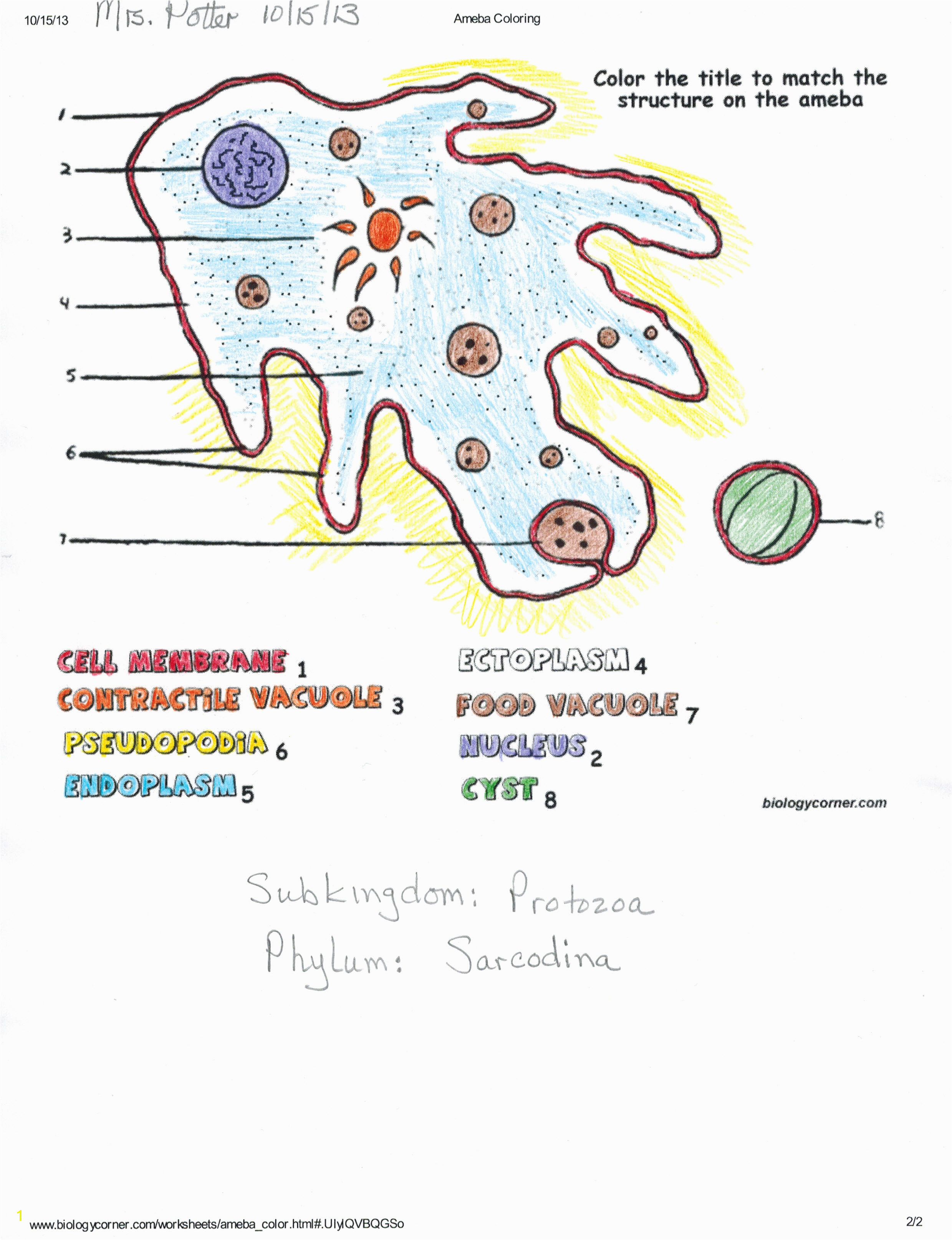 Euglena Coloring Page Promising Euglena Coloring Page Delighted Apol 5320 Unknown