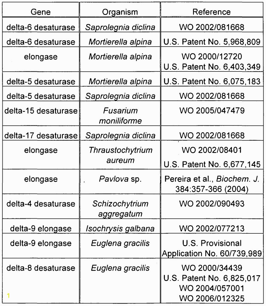 Euglena Coloring Page Wo A2 Mutant Delta 8 Desaturase Genes Engineered