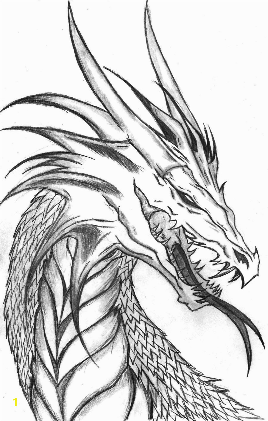 Informative Evil Dragon Coloring Pages For Adults Free Printable Kids