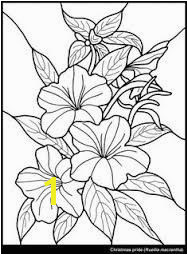 Exotic Flower Coloring Pages Hawaiian Flower colouring pages page