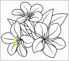 flower Page Printable Coloring Sheets