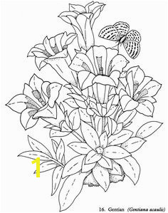 Wel e to Dover Publications Redouté Flowers Coloring Book Coloring Pages Nature Coloring Pages For