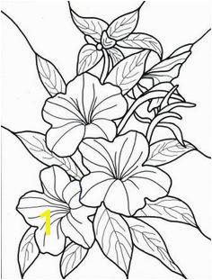 Exotic Flower Coloring Pages 46 Best Flowers and Plants Images On Pinterest