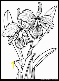 Resultado de imagen para dover coloring pages exotic flowers