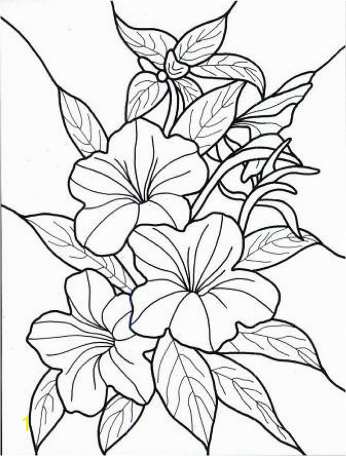 tropical flowers stained glass coloring book hand drawn pinterest hawaiian flowers exotic flowers and flower colors