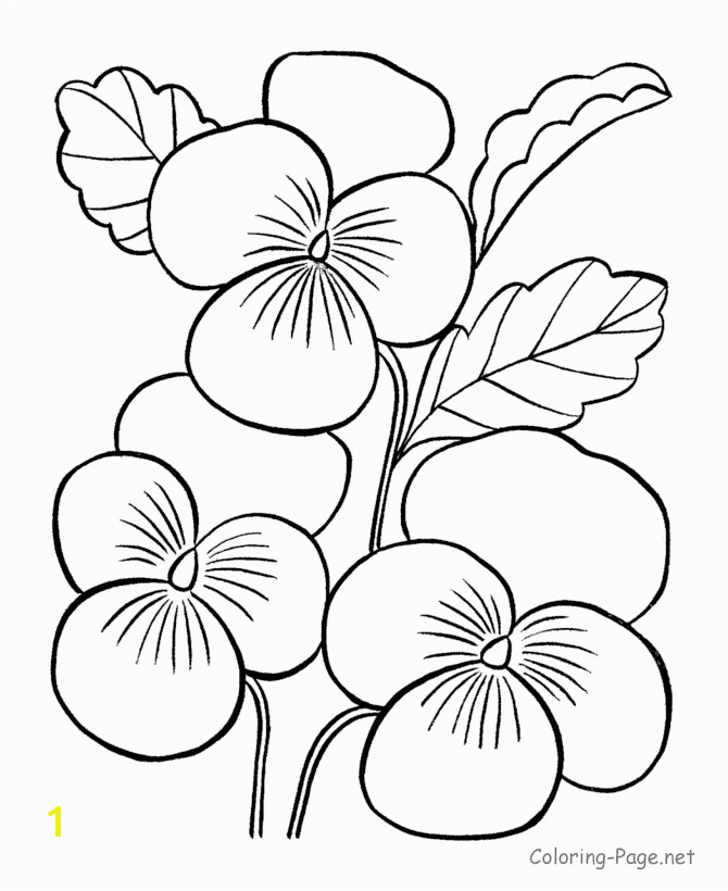 Flower coloring pages Printable coloring pictures of flowers FREE you also find it