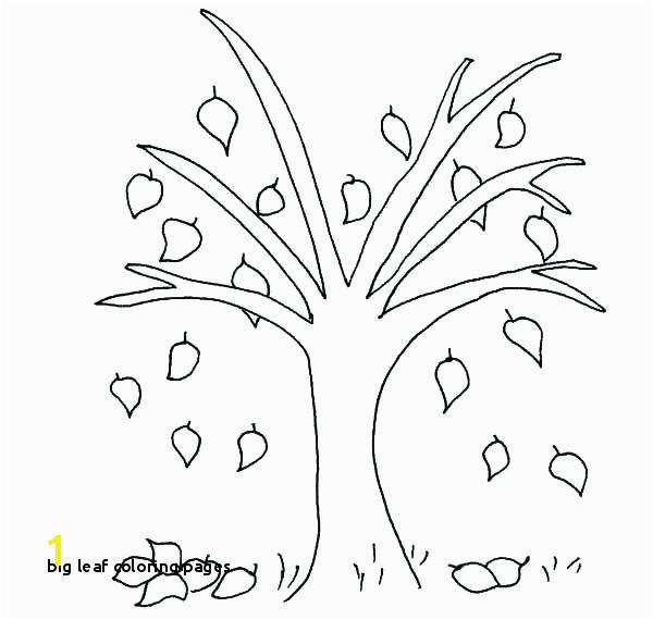 Big Leaf Coloring Pages Leaf Coloring Pages for Preschool Autumn Coloring Pages Beech Tree