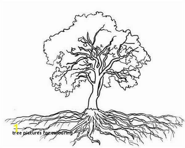 Tree for Colouring Tree with Roots Coloring Page ”µ€µ²Å Pinterest