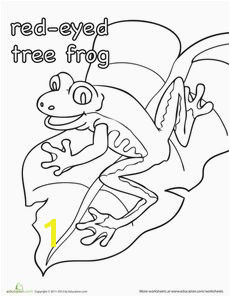 Color the Red Eyed Tree Frog