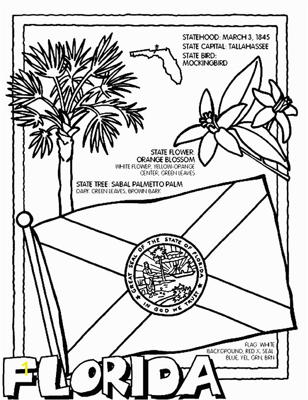 Elegant Florida State Coloring Pages