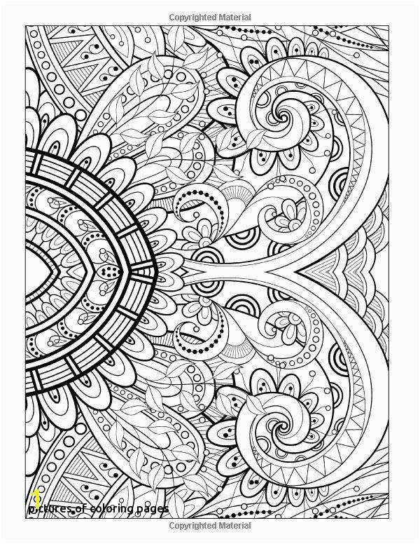 Florida State Bird Coloring Page Everglades Coloring Pages Chemistry Coloring Page Elegant 24 Best