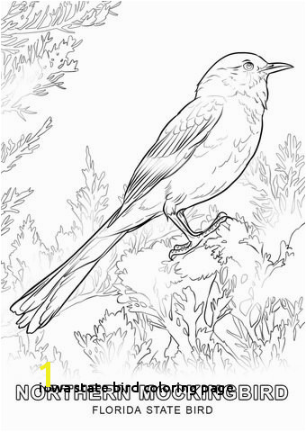 Florida State Bird Coloring Page Iowa State Bird Coloring Page Alabama State Bird Coloring Page