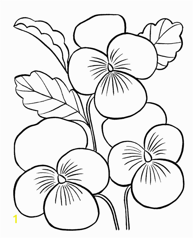 flower coloring pages for adults