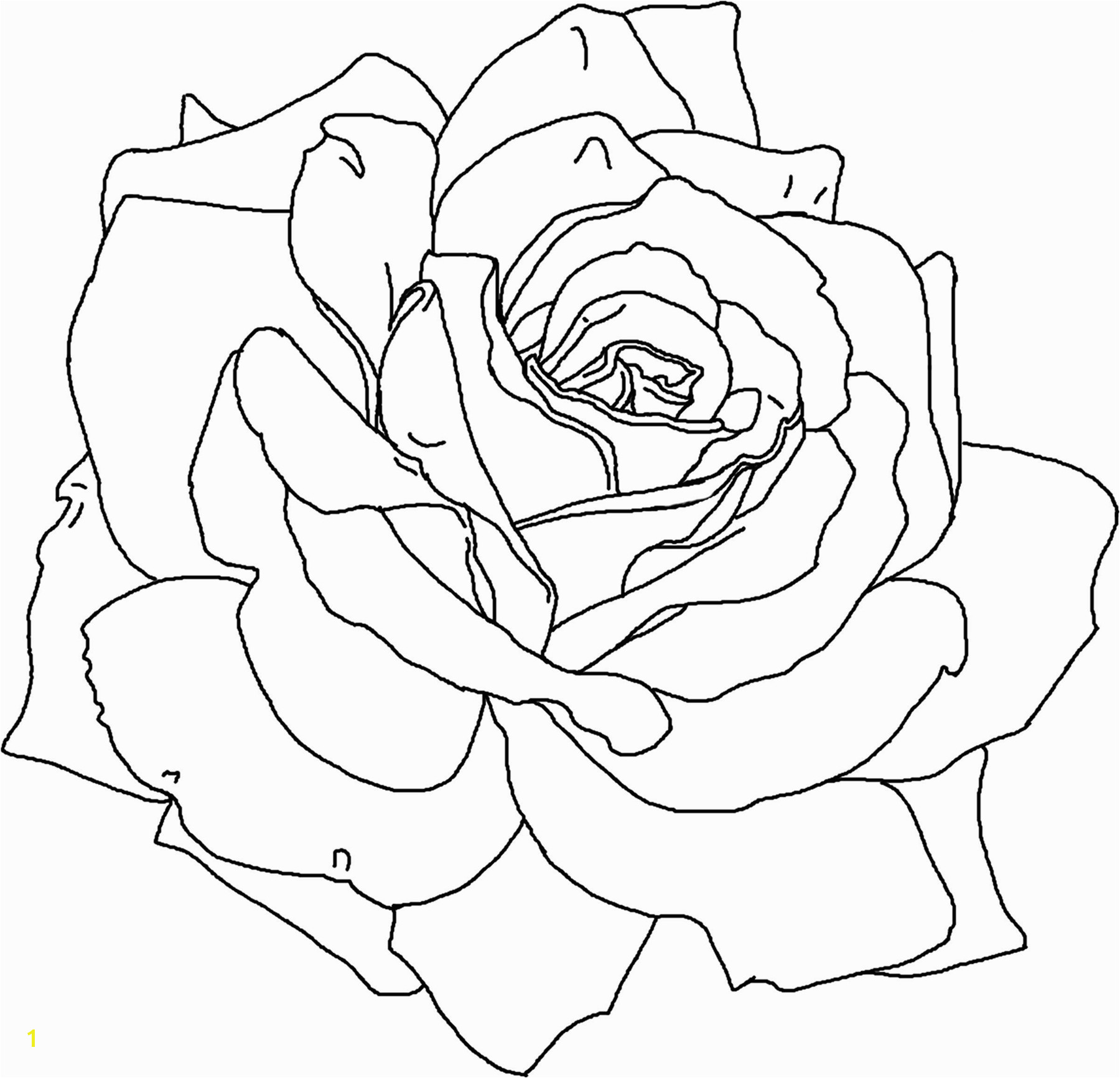 free printable flower coloring pages kids