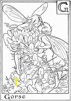 FAIRY COLORING PAGES FAIRIES TO PRINT AND COLOR Coloring Pages For Grown Ups Fairy