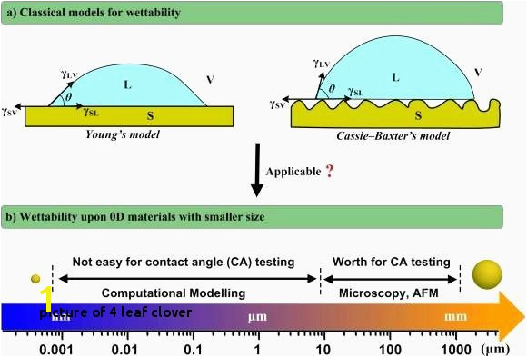 Four Leaf Clover Color Page Picture 4 Leaf Clover Gallery for Cool Four Leaf Clover Drawing Four Leaf Clover Color Page Picture 4 Leaf Clover Gallery for Cool Four Leaf Clover Drawing