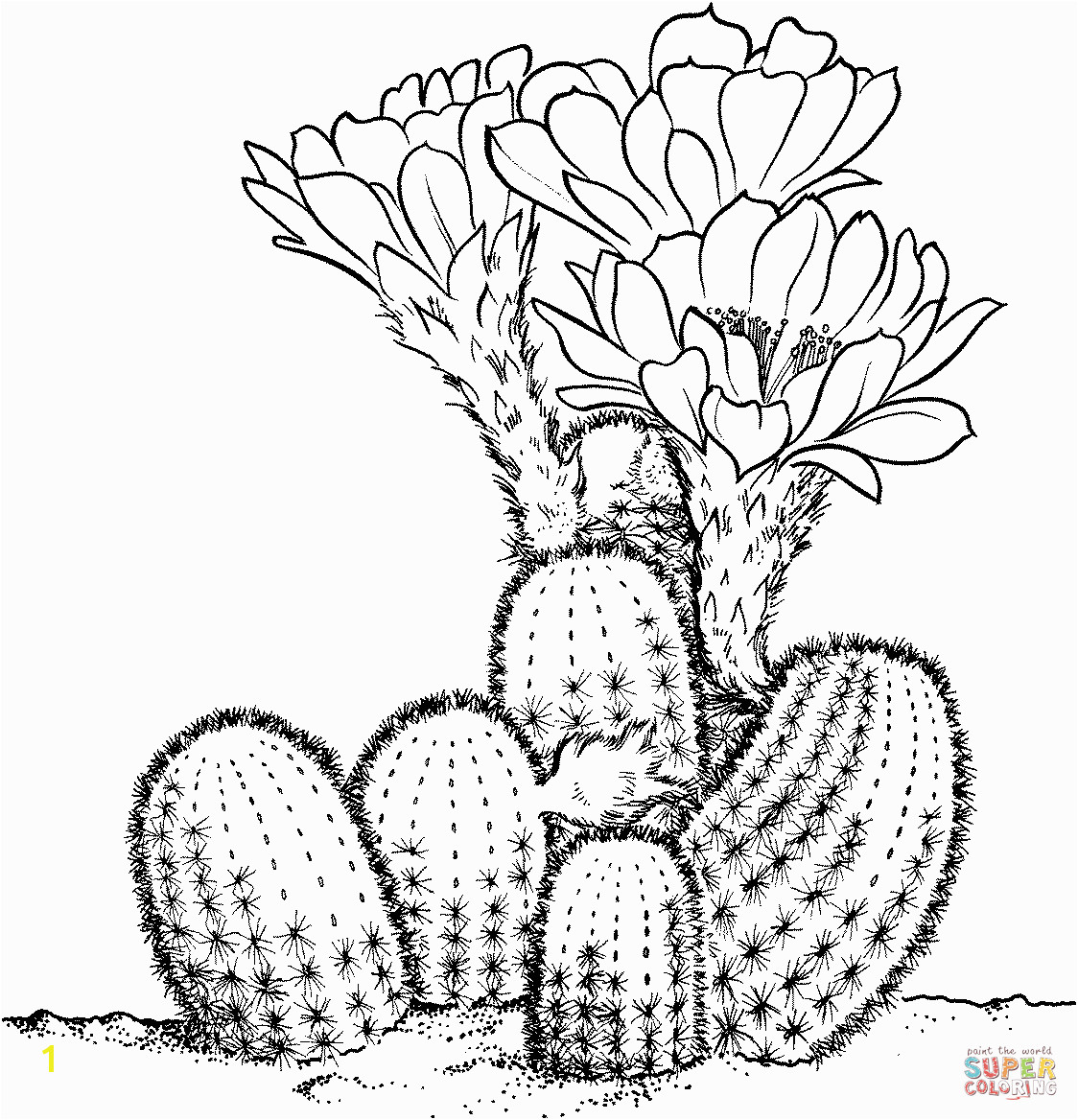 Free Cactus Coloring Pages Prickly Pear Cactus Coloring Page
