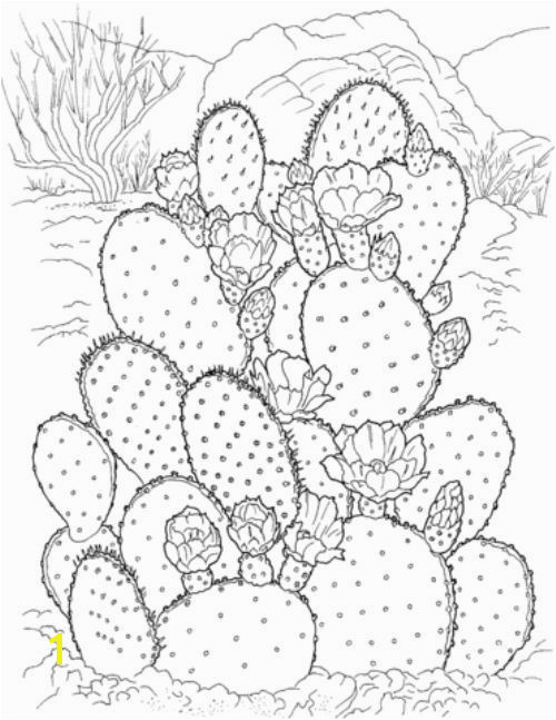 Free Cactus Coloring Pages Printable Coloring Pages for Adults 15 Free Designs