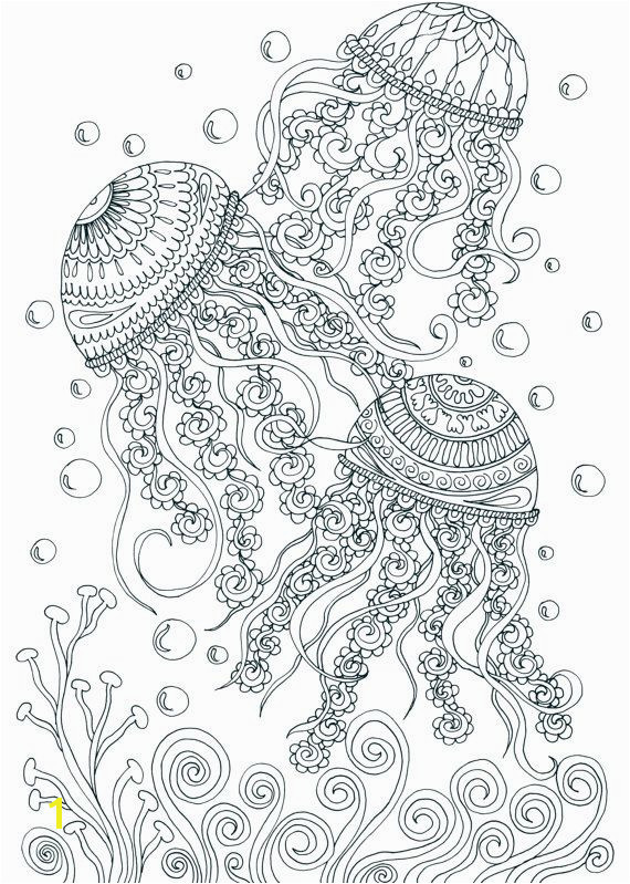 Adult Coloring Book Printable Coloring Pages by JoenayInspirations