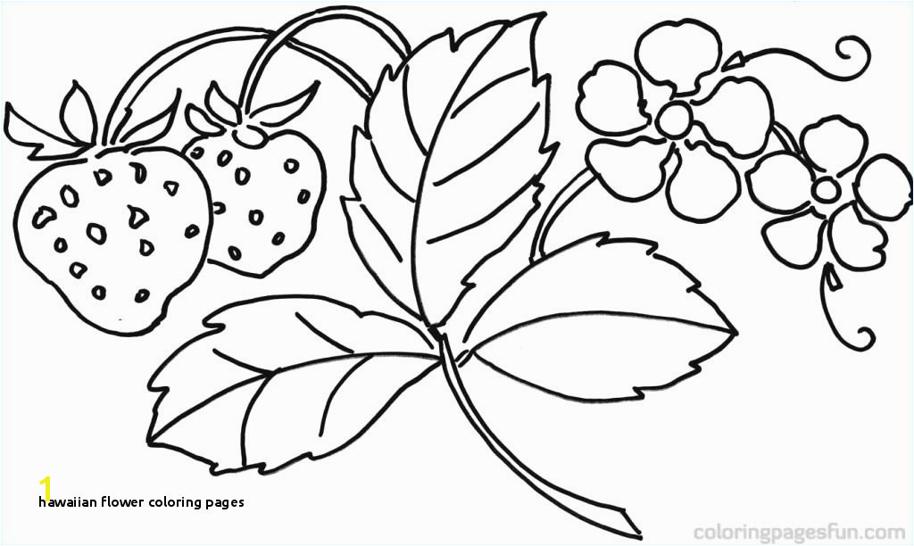 Hawaiian Flower Coloring Pages Cartoon Flower Coloring Pages Free Flower Coloring Pages