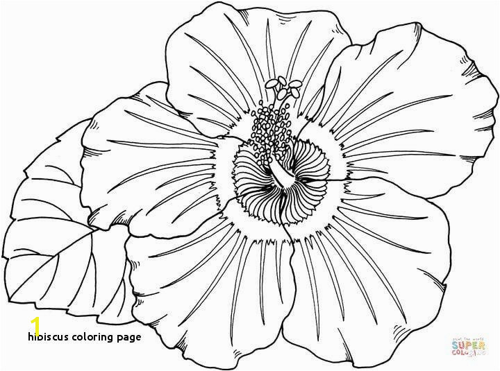 Hibiscus Coloring Page Inspirational 23 Hibiscus Coloring Page Hibiscus Coloring Page Luxury Hawaiian Flower Coloring