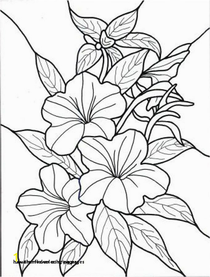 Hawaiian Flower Coloring Pages