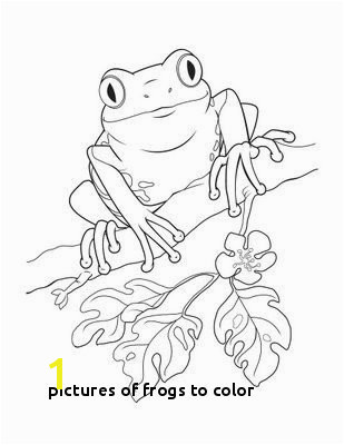 Frogs to Color Puerto Rico Coloring Pages