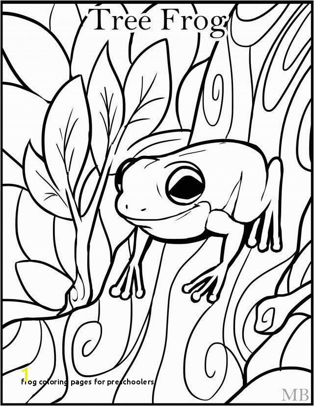 29 Frog Coloring Pages for Preschoolers