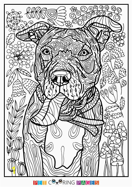 Free Printable Animal Coloring Pages for Adults Animal Coloring Pages Free Luxury Coloring Pages for Adults