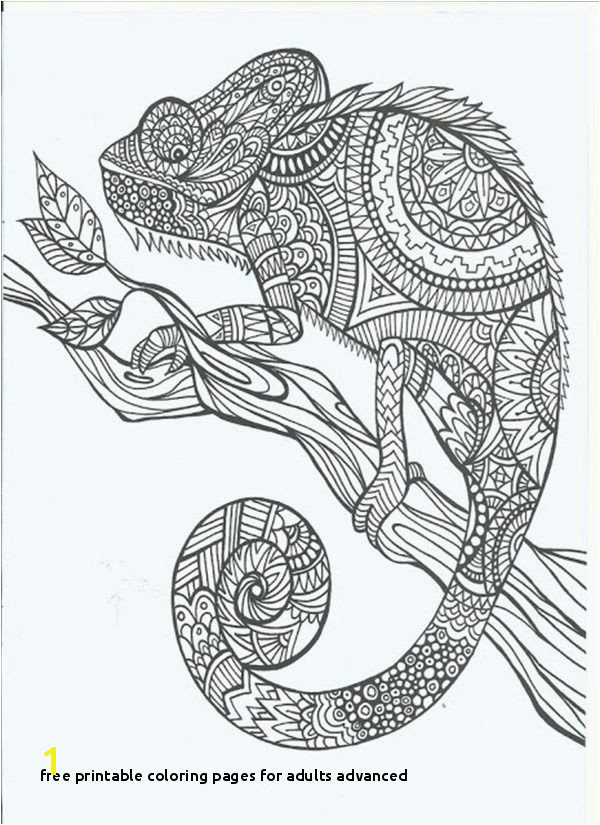 Free Printable Coloring Pages for Adults Advanced 23 Free Printable Coloring Pages for Adults Advanced Mycoloring