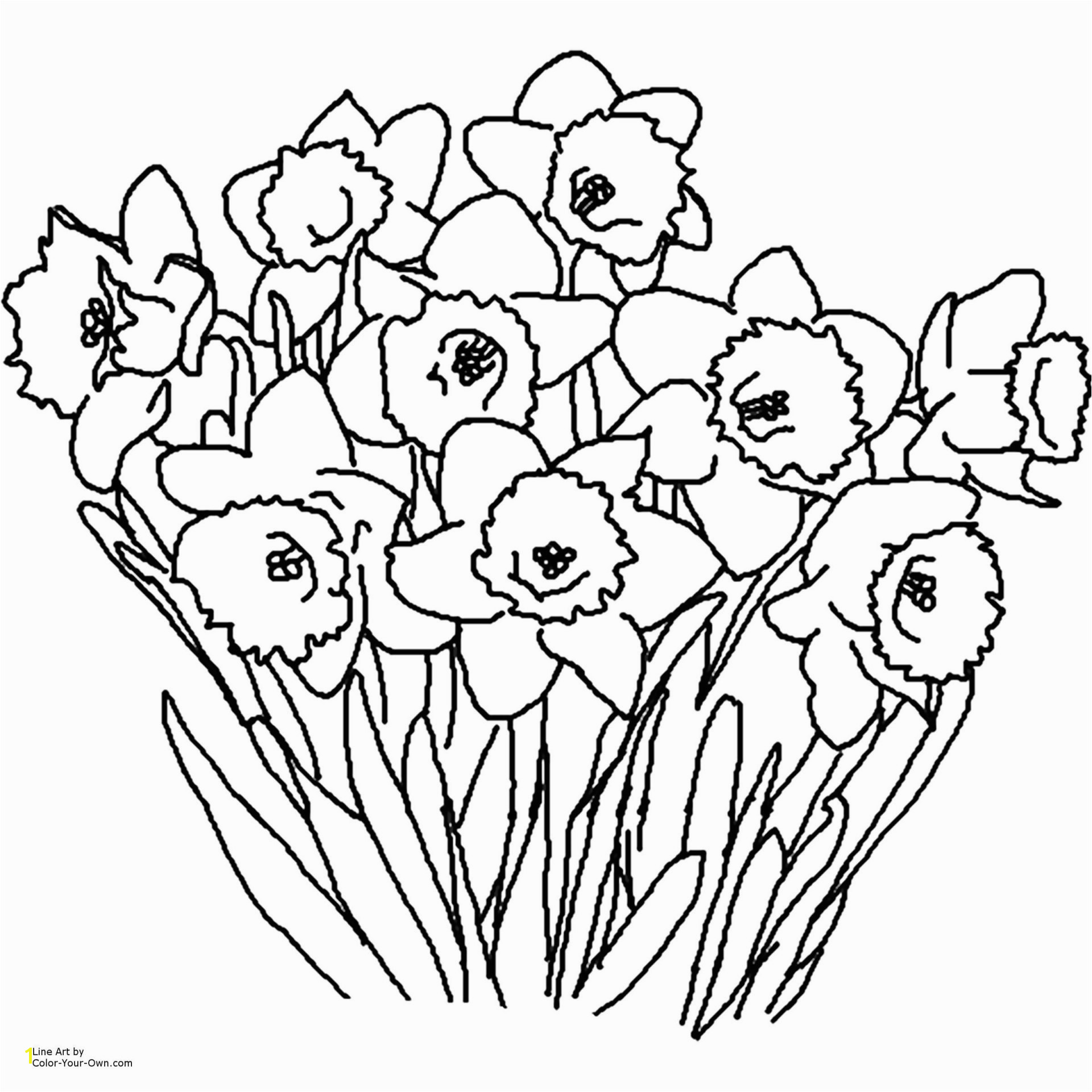 Free Printable Flower Coloring Pages Best Free Printable Spring Flowers Coloring Pages Coloring Home