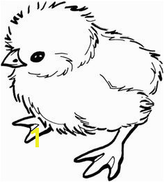 Easter Chick Coloring Pages