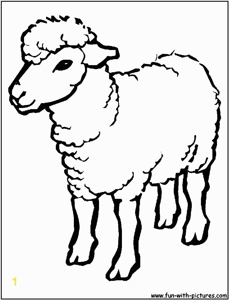 Sheep Coloring Page
