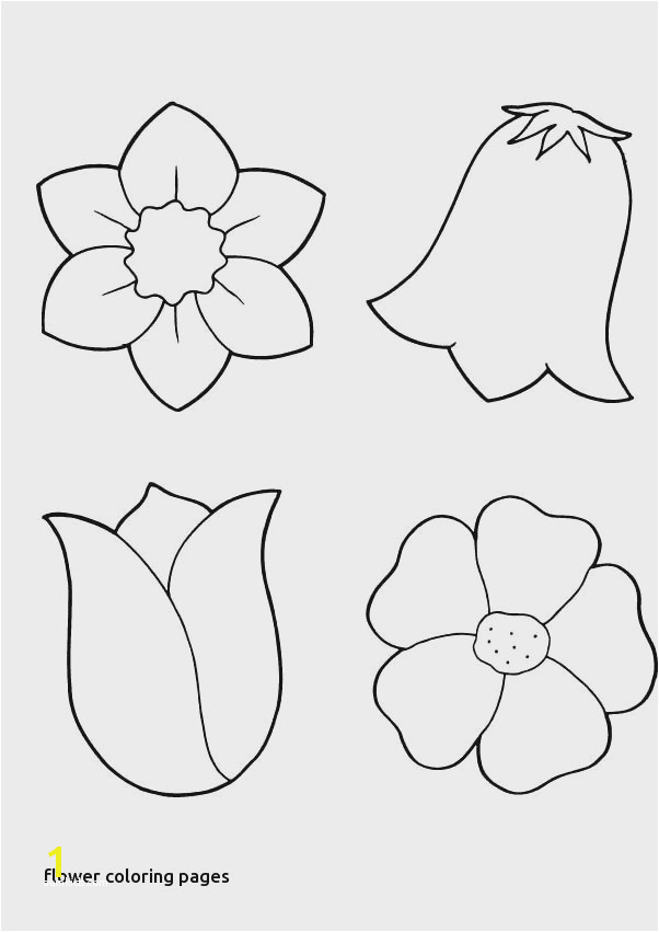 Preschool Activity Sheets Best Free Spring Coloring Pages Marvellous 29 Free Preschool Coloring Preschool