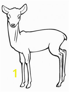 Free Zebra Coloring Pages to Print Free Printable Zebra Coloring Pages for Kids Animals Free Zebra Coloring Pages to Print Free Printable Zebra Coloring Pages for Kids Animals