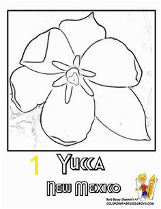 New Mexico State Flower Coloring Page
