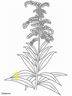 realistic flower coloring pages Bing