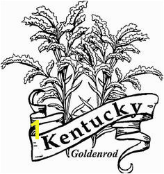 Ky Goldenrod Coloring Page Flower Coloring Pages Pattern Coloring Pages Free Coloring Pages