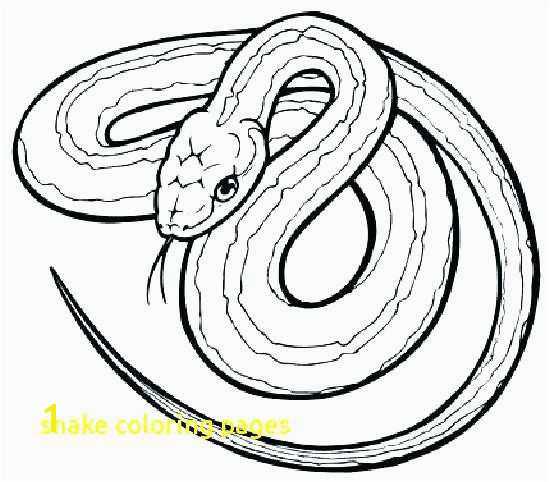 Rattlesnake Coloring Page Elegant Red Tail Boa Coloring Coloring Python Snake Reptiles Coloring