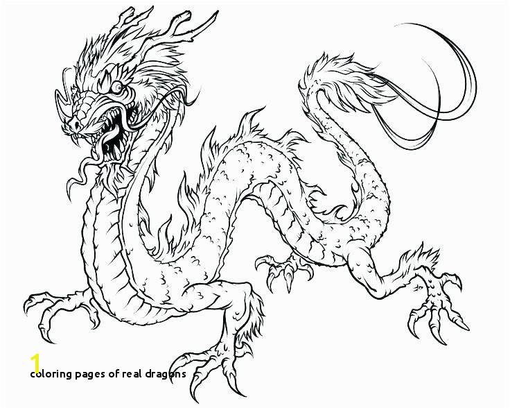 Coloring Pages Real Dragons Fairies Fantasy Coloring Pages Book Puff the Magic Dragon Colouring