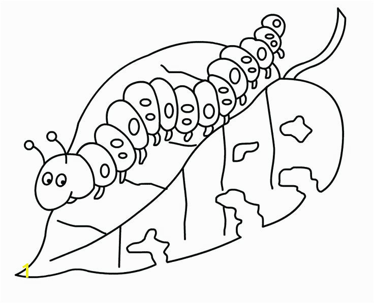 hungry caterpillar coloring pages hungry caterpillar coloring post the very hungry caterpillar food colouring sheets