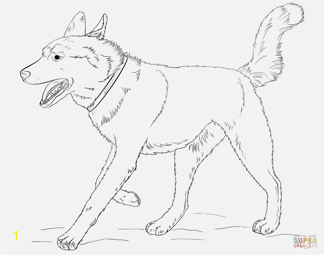 Ausmalbild Hund Boxer Verschiedene Bilder Färben Siberian Husky Dog Coloring Page
