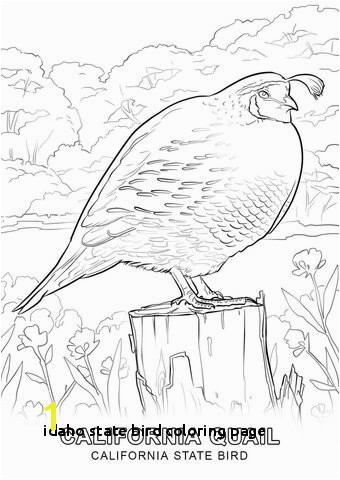 Idaho State Bird Coloring Page Nevada State Seal Coloring Page State Seal Coloring Page Coloring